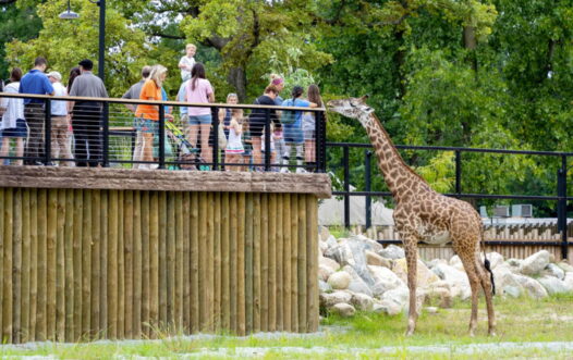 Potawatomi Park & Zoo | Irish Gold